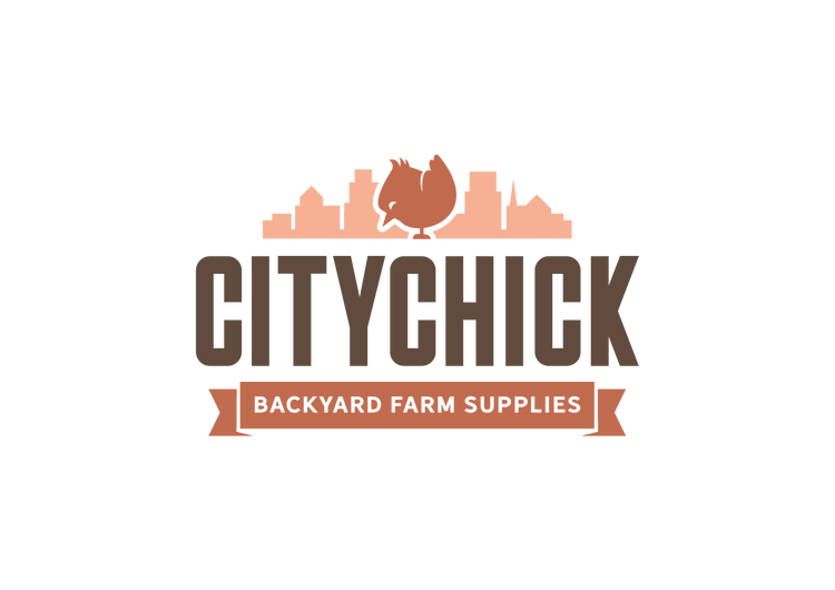 CityChick logo